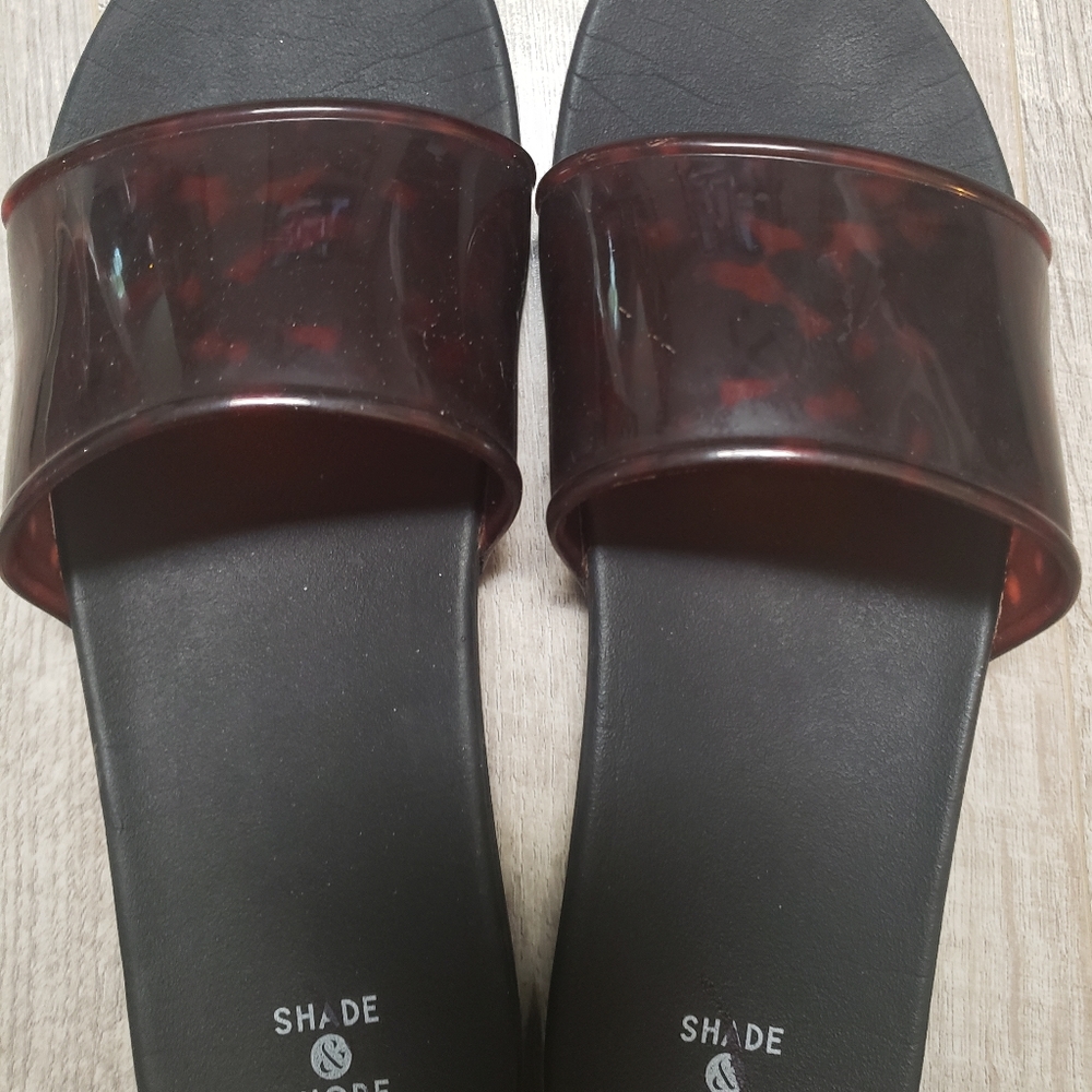 Tortoise Slides